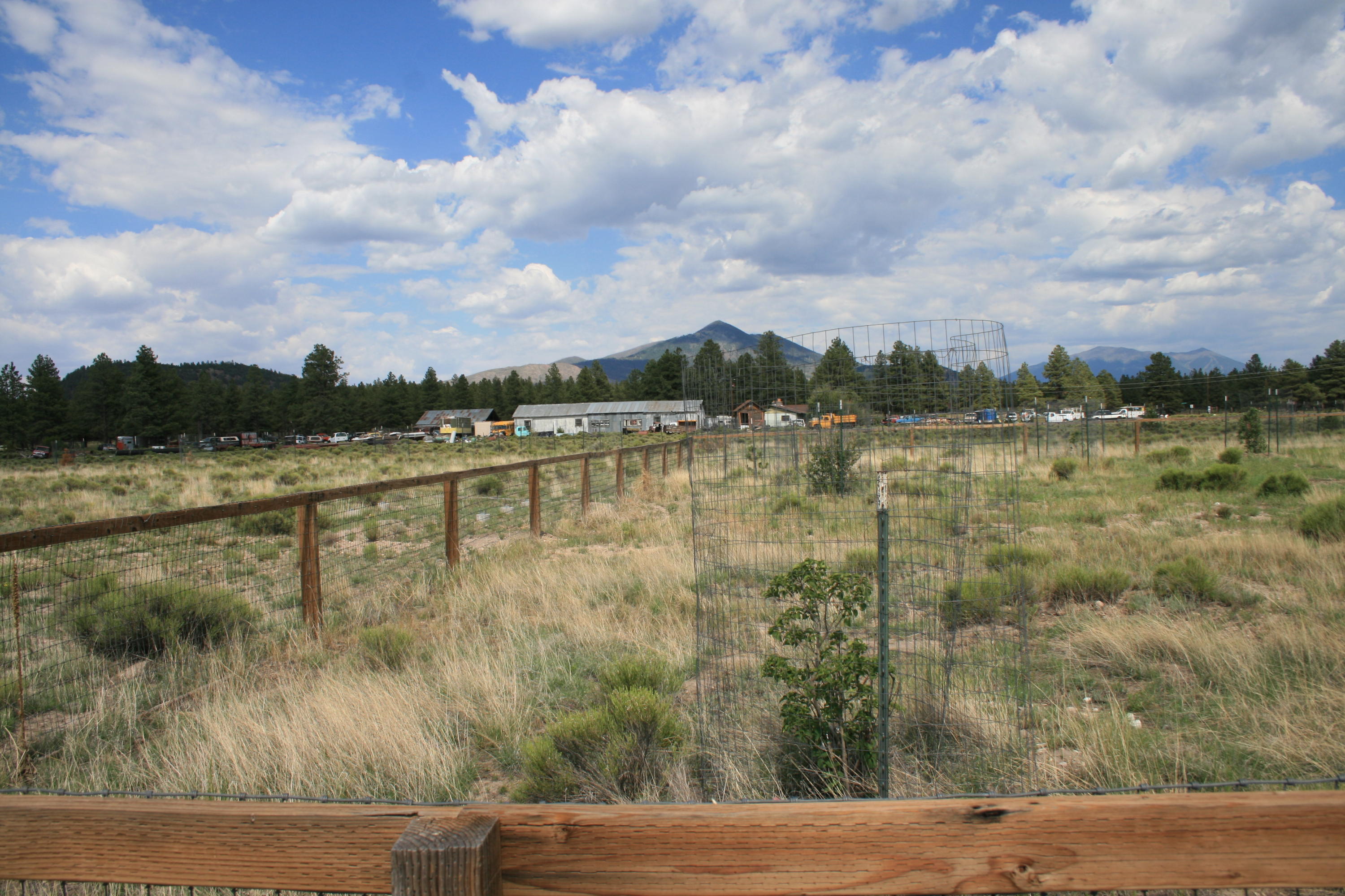 13607 East Spring Valley Road Parks, AZ 86018 - Photo 27 of 30 IMG_2396