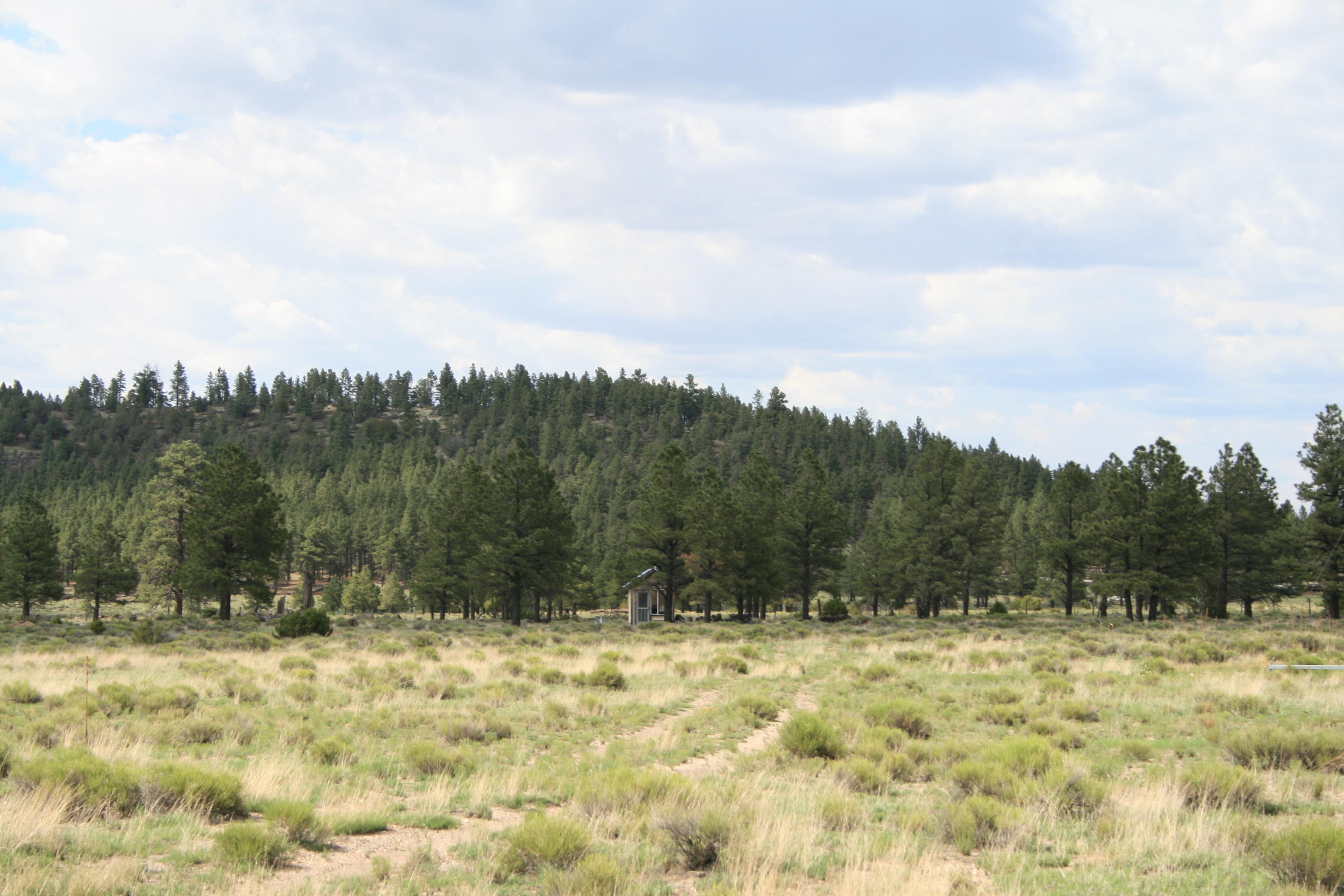 13607 East Spring Valley Road Parks, AZ 86018 - Photo 3 of 30 IMG_2395