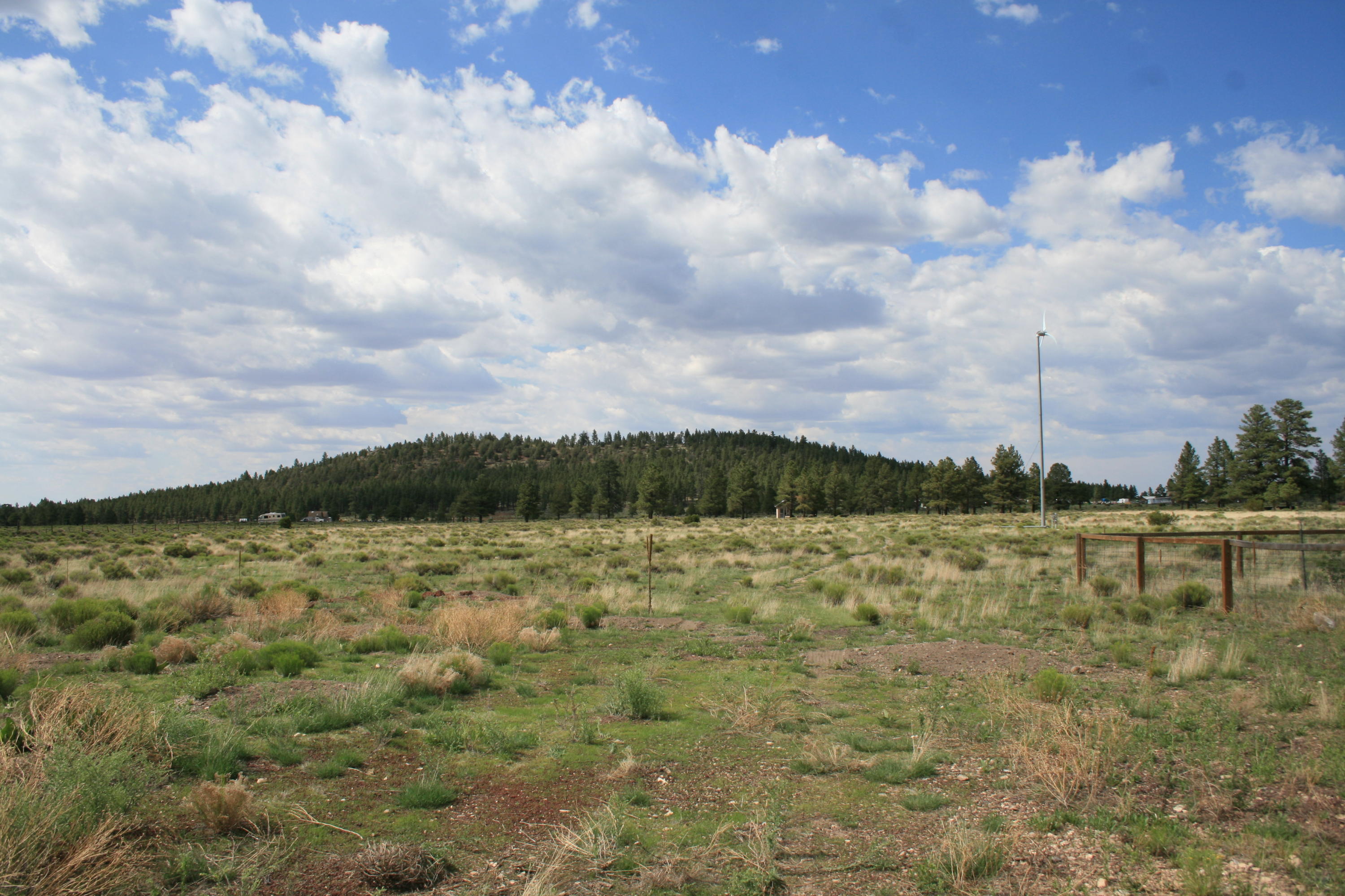 13607 East Spring Valley Road Parks, AZ 86018 - Photo 7 of 30 IMG_2393