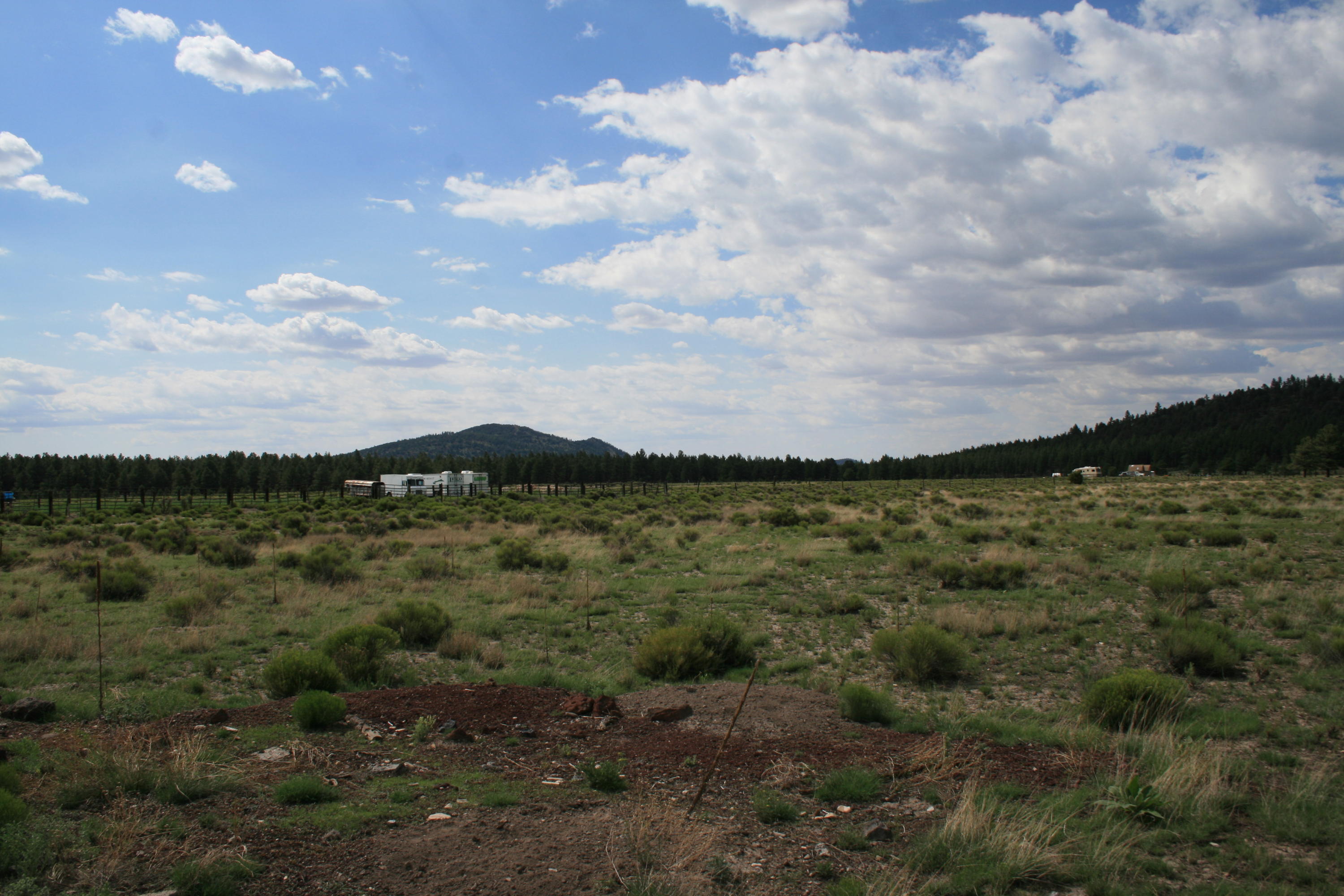 13607 East Spring Valley Road Parks, AZ 86018 - Photo 9 of 30 IMG_2401