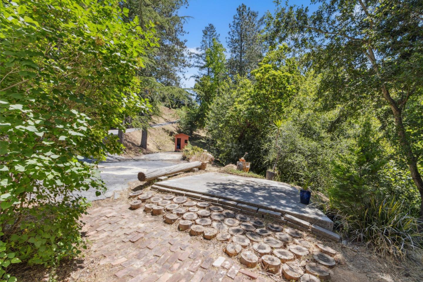 24895 Skyland Road Los Gatos, CA 95033 - Photo 56 of 113 a view of a yard with plants and trees