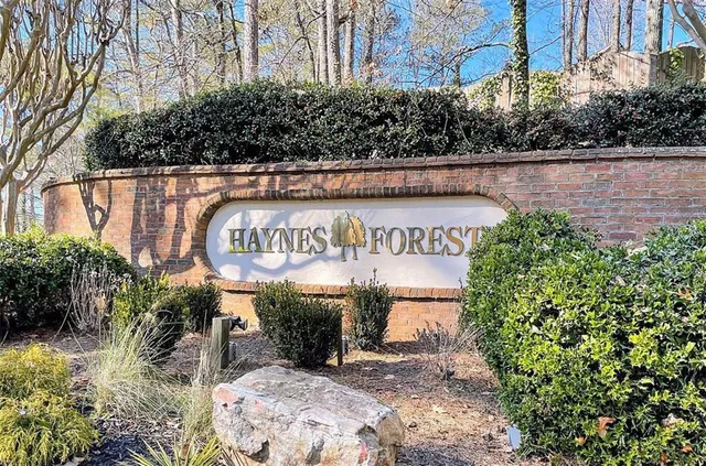 a small garden covered with tall trees