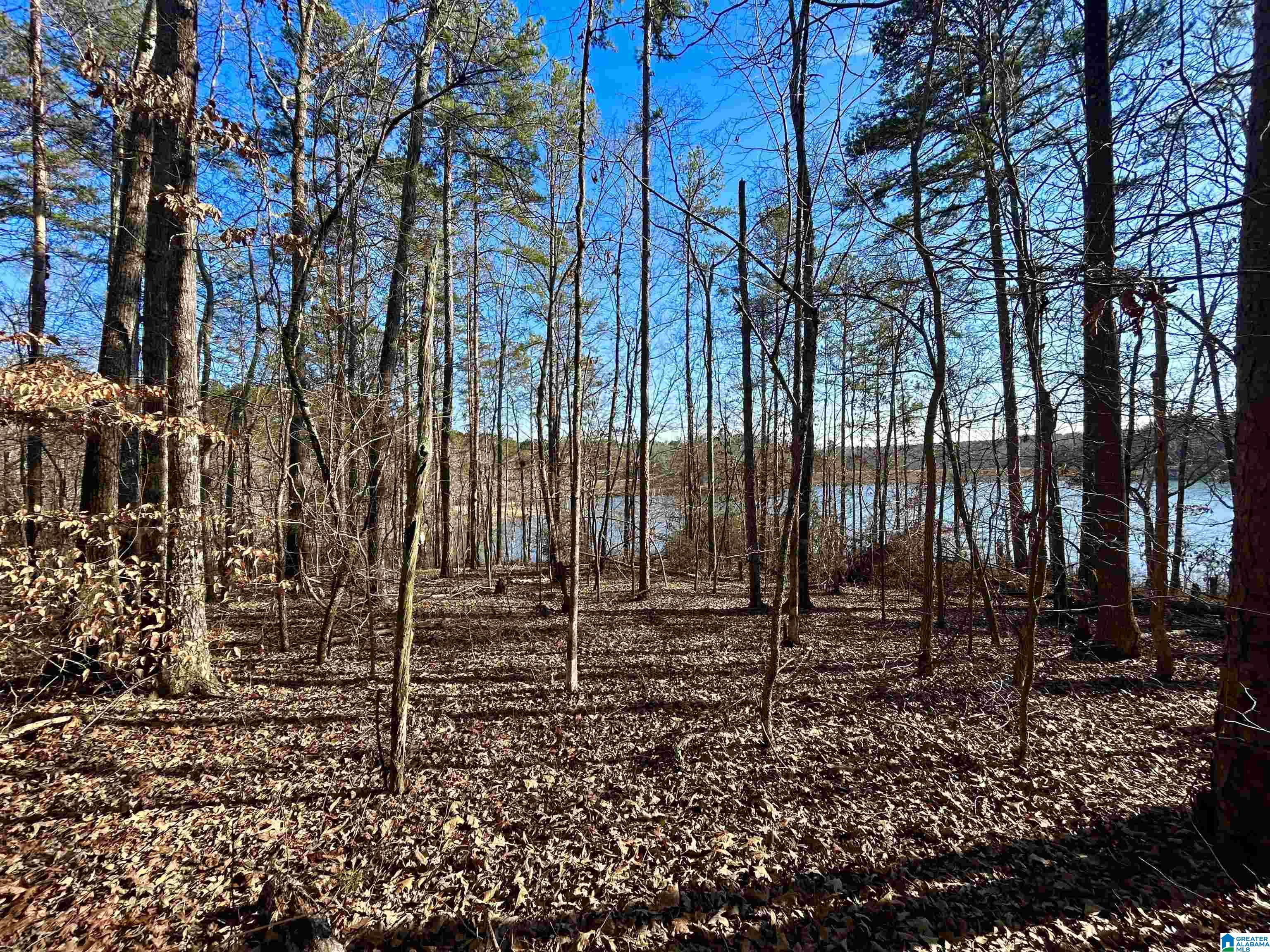 0 Olive Branch Road, Unit 25 Ashland, AL 36251 - Photo 2 of 15