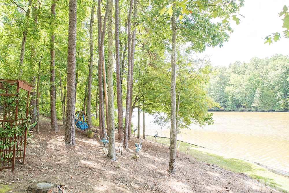 169 Willifords Point Road Roxboro, NC 27574 - Photo 23 of 30 a view of a yard with plants and trees