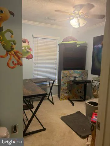 a room with musical instruments