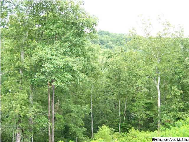 1245 Hickory Valley Road Trussville, AL 35173 - Photo 19 of 20