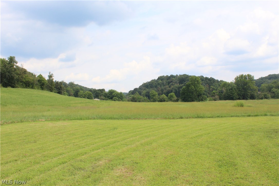 2380 Lee Creek Road Belleville, WV 26133 - Photo 21 of 23 Beautiful meadow