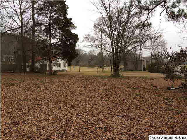 503 5th Street North Oneonta, AL 35121 - Photo 7 of 32