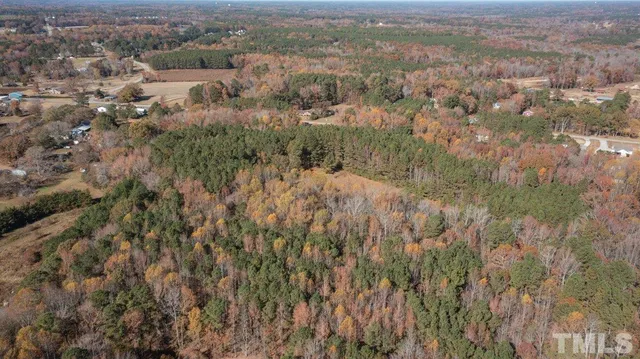 a view of a city and green valley
