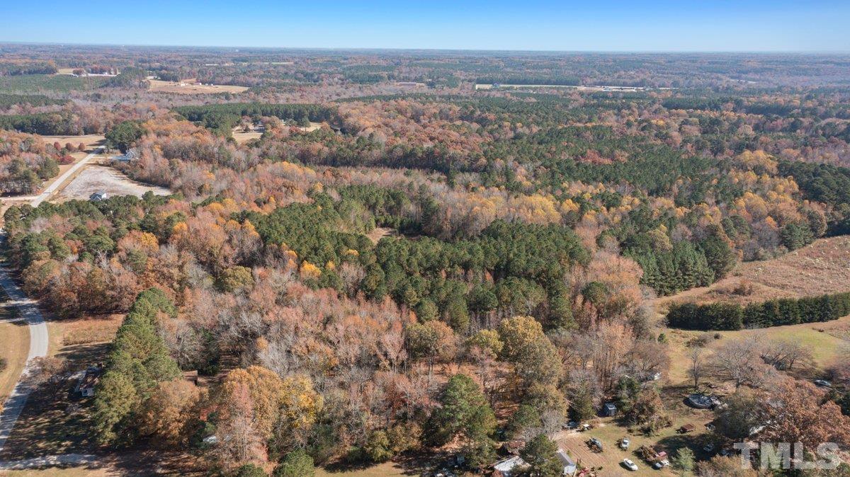 0 Davis Road Zebulon, NC 27597 - Photo 3 of 5