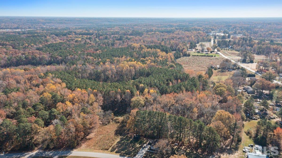 0 Davis Road Zebulon, NC 27597 - Photo 4 of 5