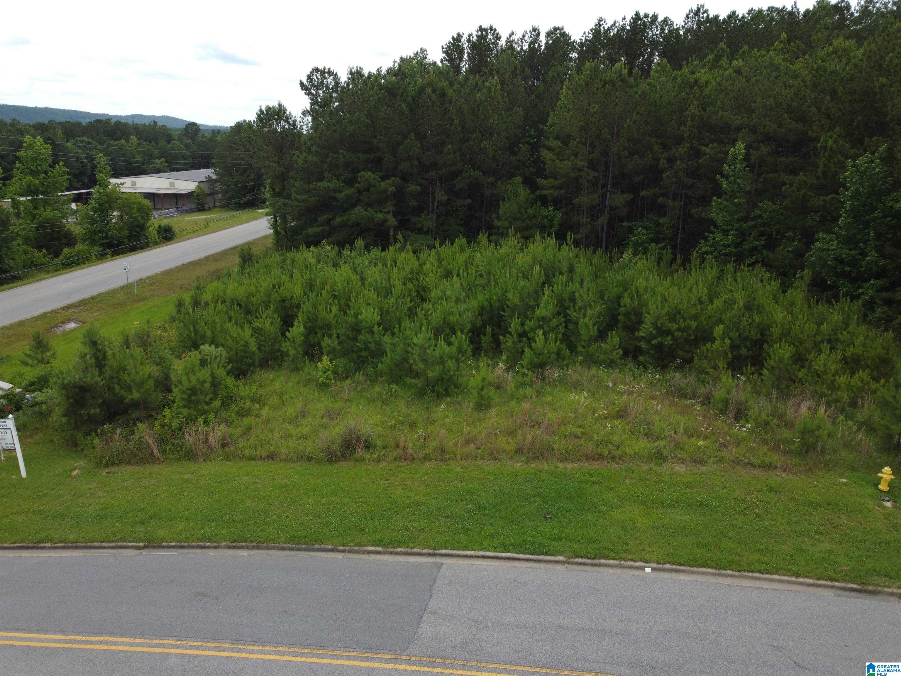 360 Applegate Parkway, Unit 10 Pelham, AL 35124 - Photo 3 of 5