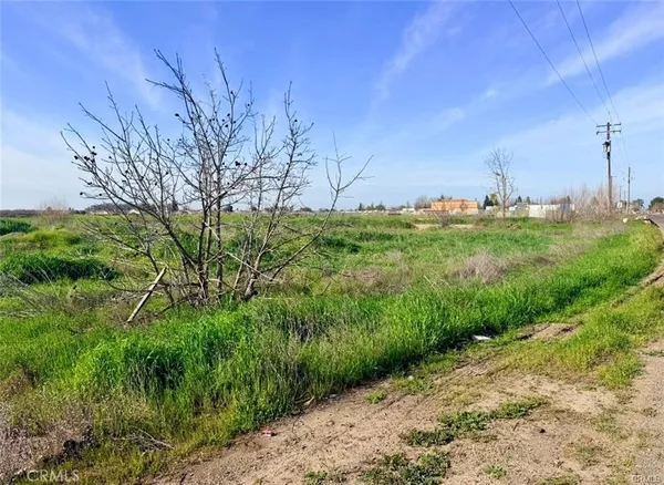 a view of a city with lush green forest