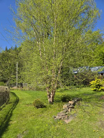 $855,000 | 13 Kimball Hill, Putney, VT 05346