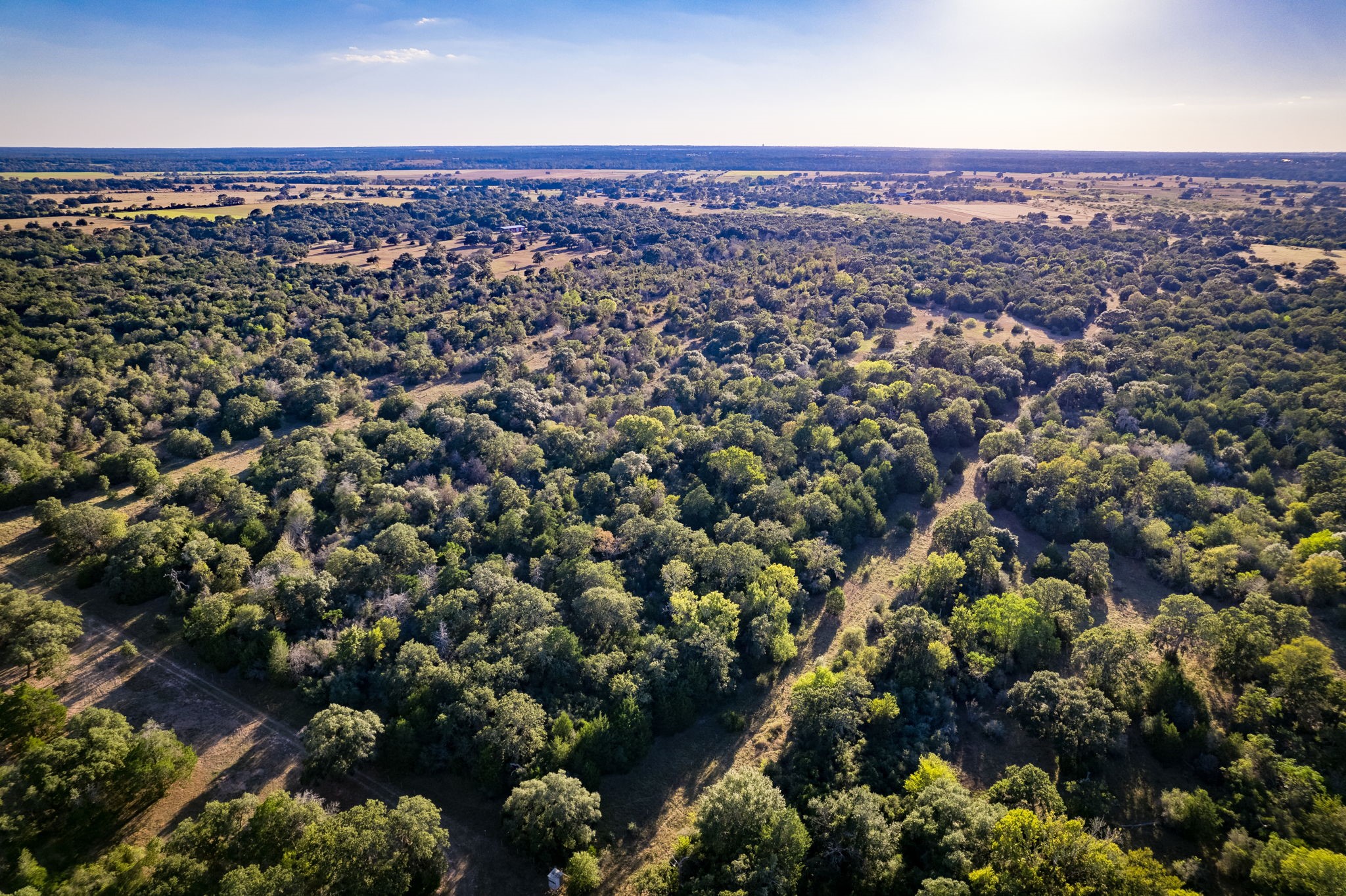 1625 Shaws Bend Road Columbus, TX 78934 - Photo 13 of 25