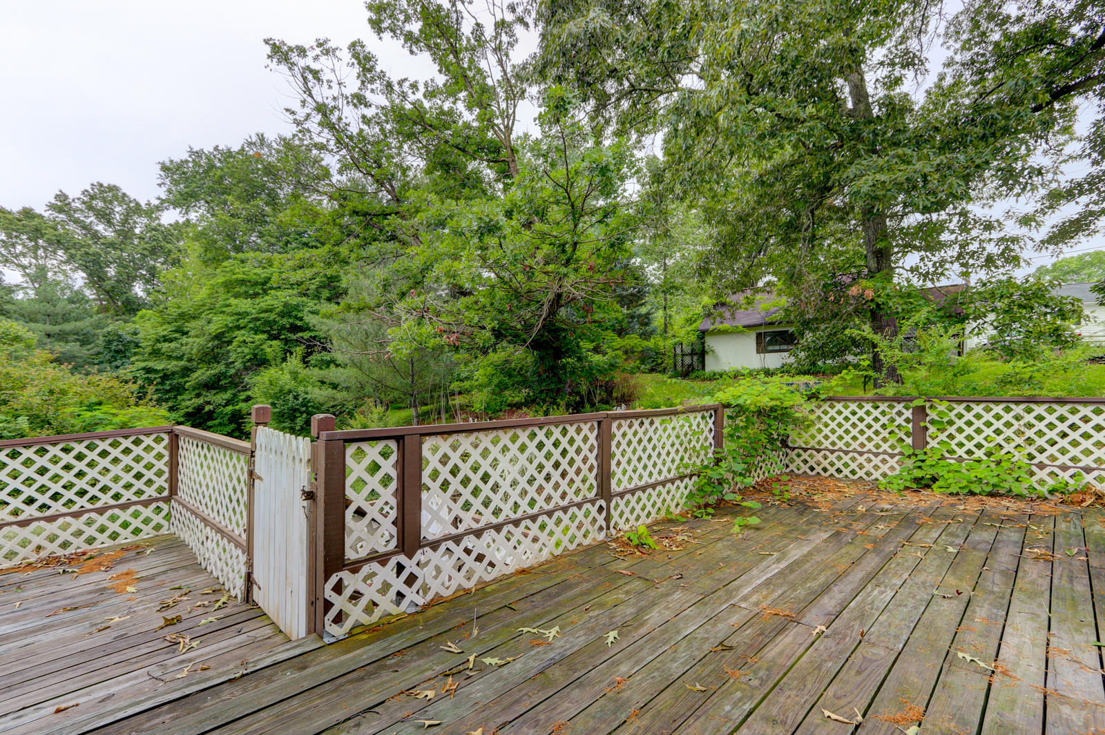 6212 Atkins Road Knoxville, TN 37918 - Photo 8 of 26 Positive Perceptions (9)