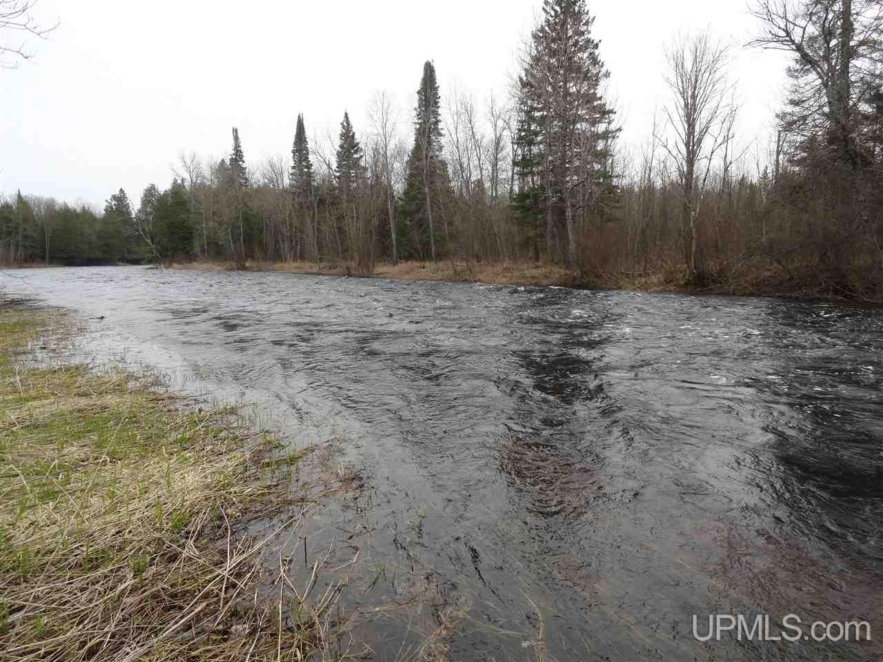 44-acres Ford River Road Arnold, MI 49831 - Photo 10 of 36