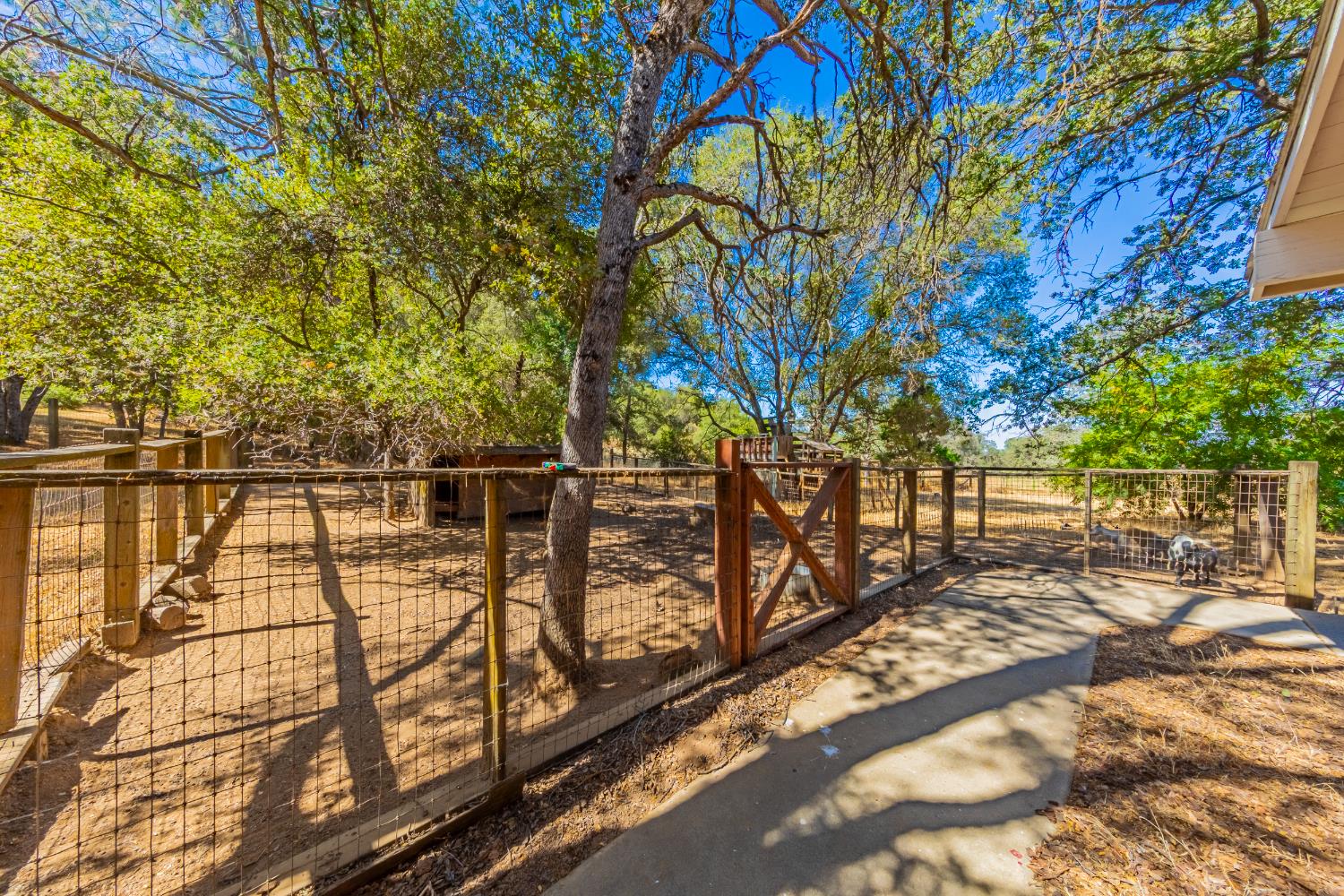 47165 Modoc Road Coarsegold, CA 93614 - Photo 9 of 33 a view of a pathway with a bench