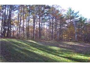 50 Bunker Hill Road Auburn, NH 03032 - Photo 5 of 6 Gallery Image 5