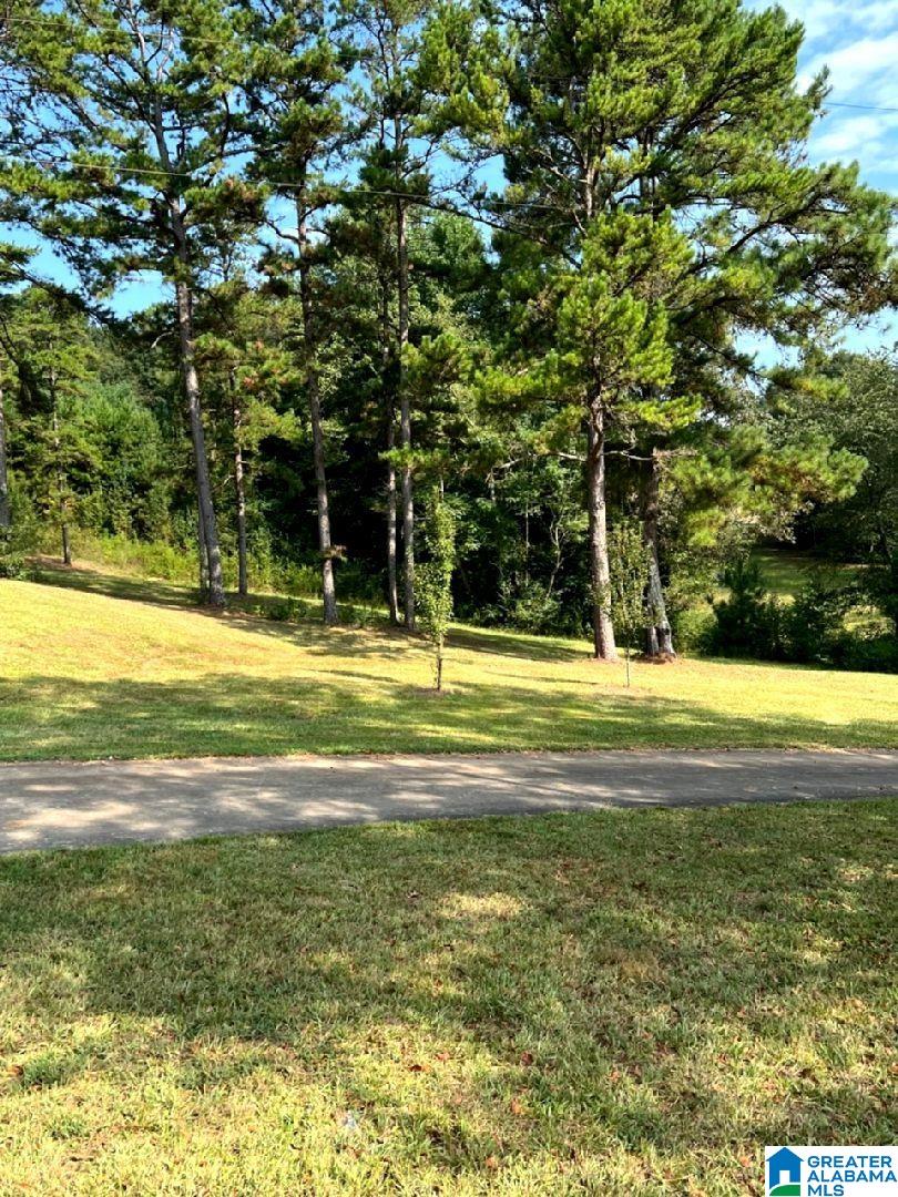254 Summerlin Circle Delta, AL 36258 - Photo 42 of 55