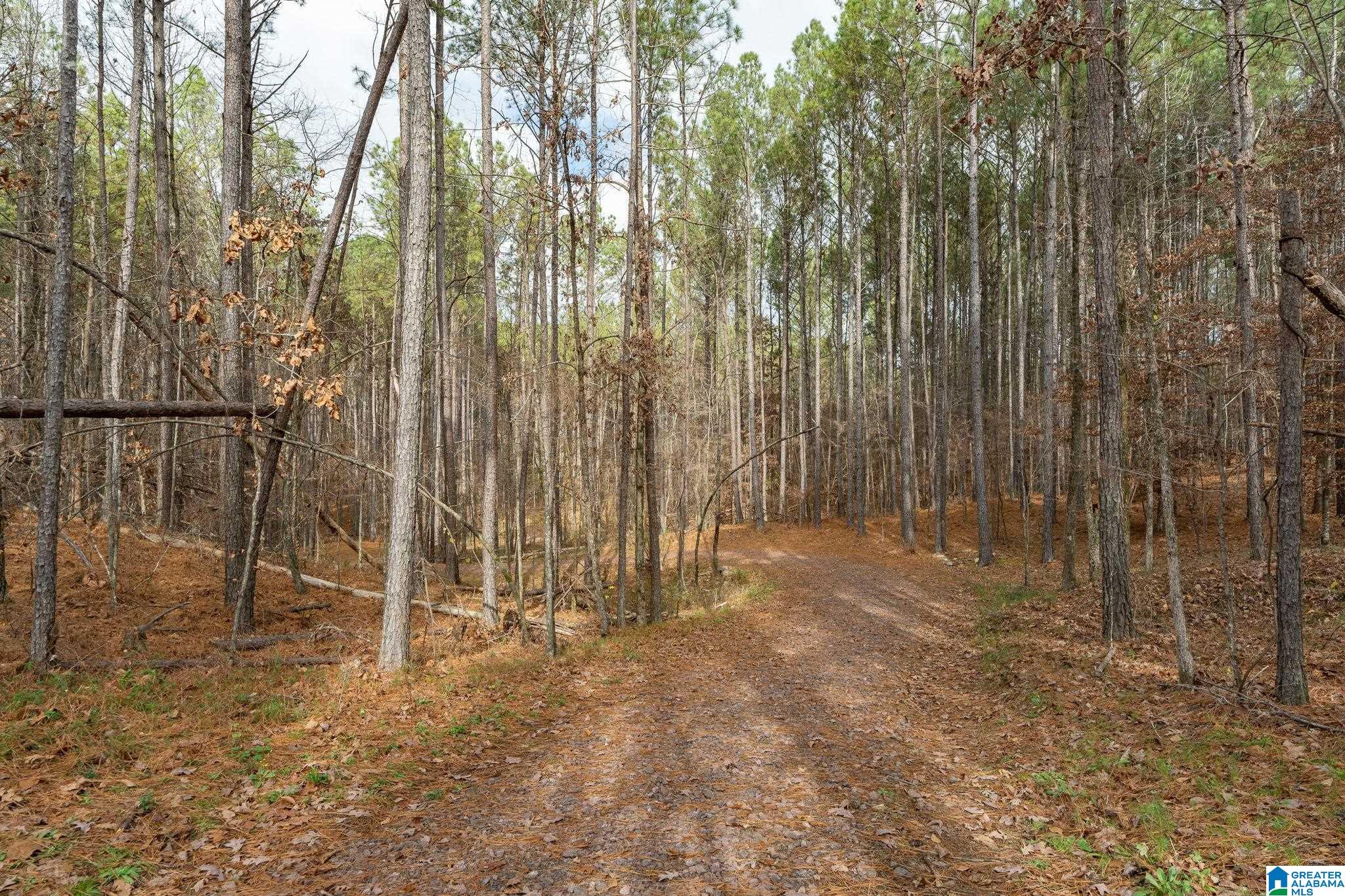 431 Appleford Road Helena, AL 35080 - Photo 49 of 52