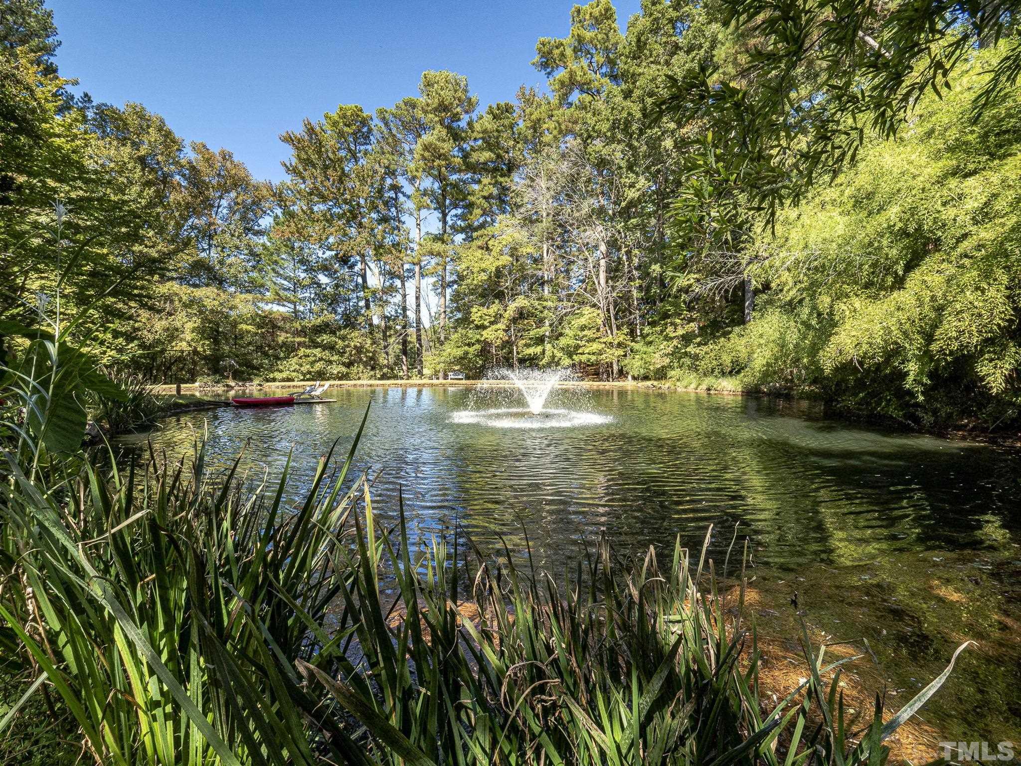 3916 Cole Mill Road Durham, NC 27712 - Photo 22 of 30 Beautiful retention pond with fountain and turtle sofa!