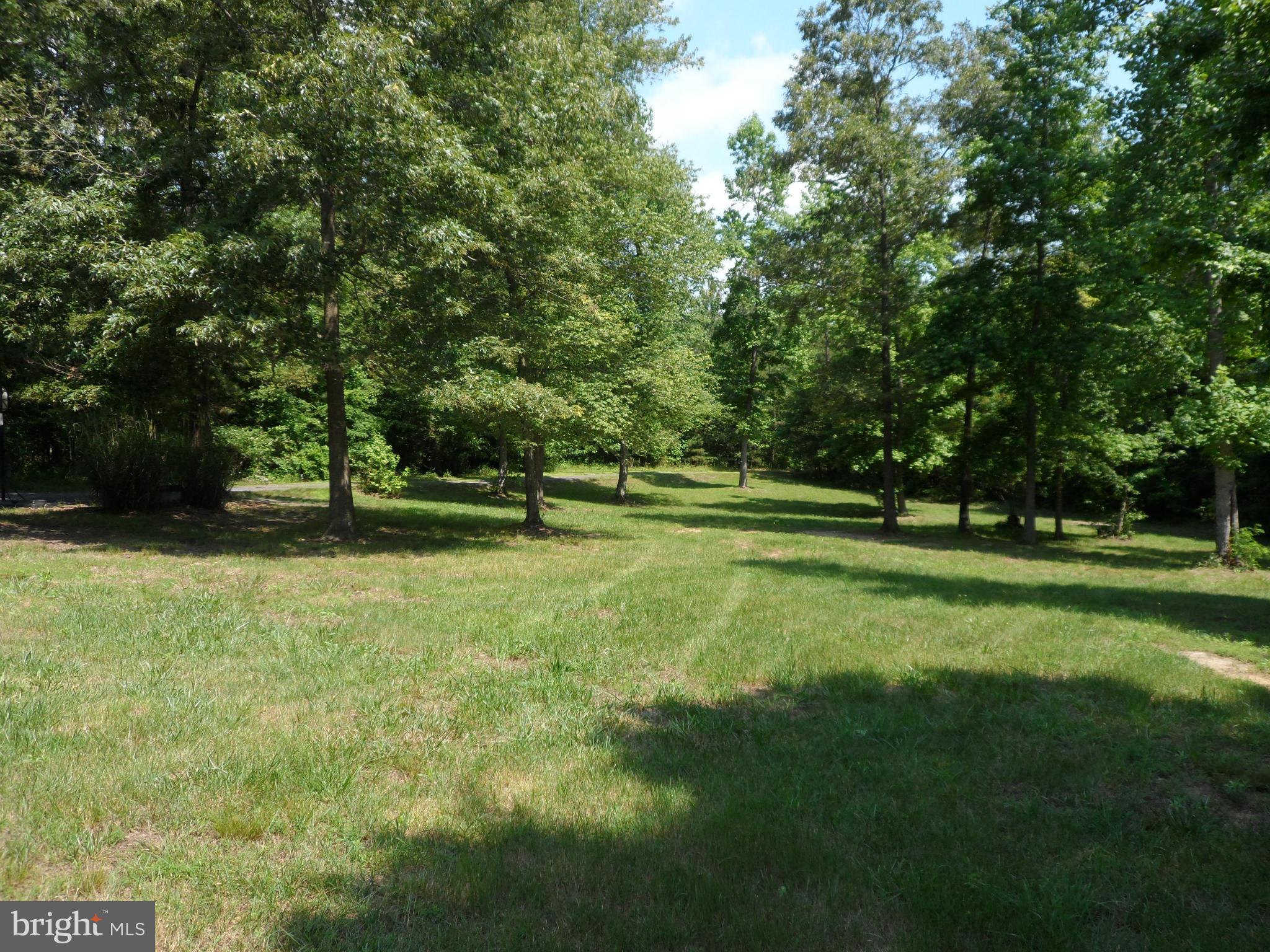 12376 Prim Road King George, VA 22485 - Photo 3 of 7 Front Yard