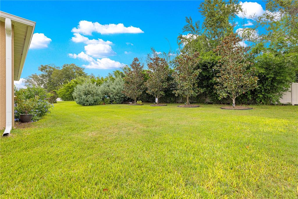 6365 Southwest 88th Loop Ocala, FL 34476 - Photo 5 of 35 a view of yard with swimming pool and green space