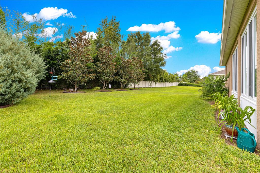 6365 Southwest 88th Loop Ocala, FL 34476 - Photo 6 of 35 a view of a garden with a tree