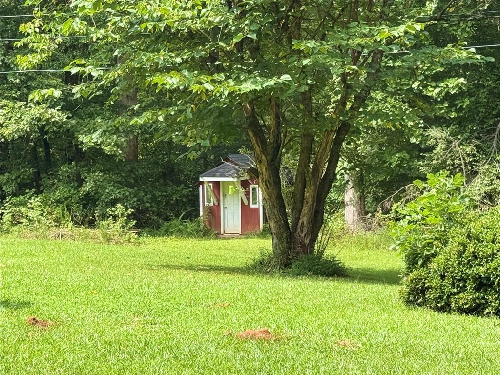 94 Big Jim Road Cleveland, GA 30528 - Photo 22 of 25 a fire hydrant in the middle of a field