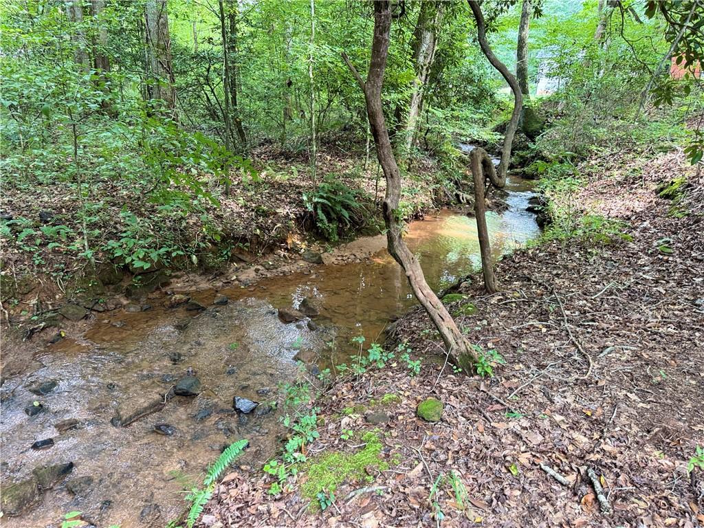 94 Big Jim Road Cleveland, GA 30528 - Photo 23 of 25 a backyard of a house with lots of green space