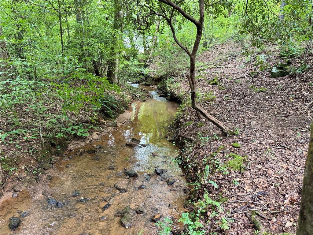 94 Big Jim Road Cleveland, GA 30528 - Photo 24 of 25 a view of a forest with large trees