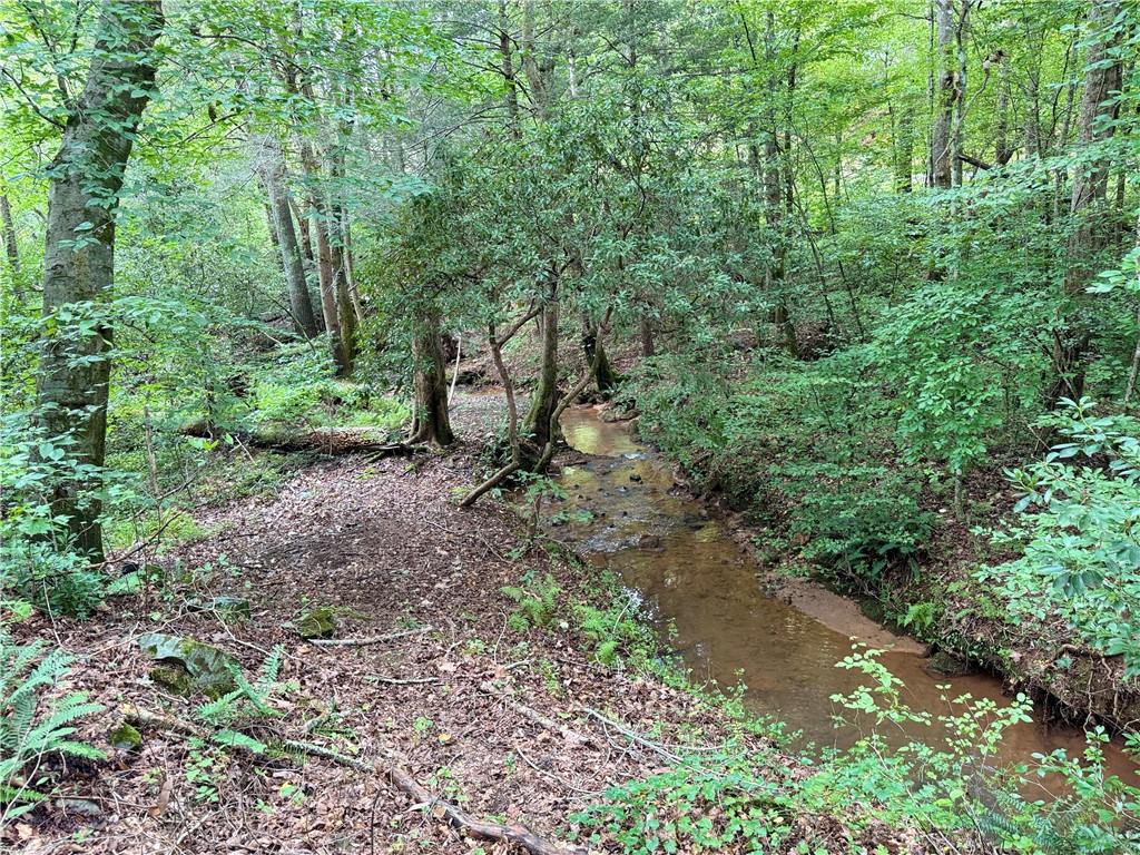 94 Big Jim Road Cleveland, GA 30528 - Photo 25 of 25 a view of a forest with trees in the background