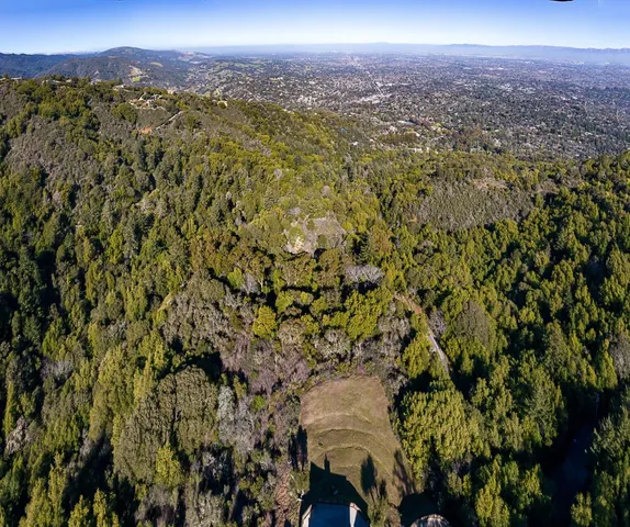 a view of a city with lush green forest