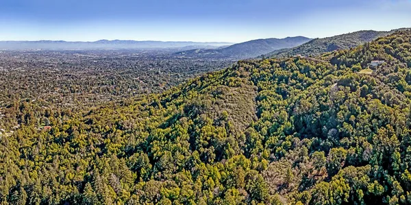 a view of a lush green hillside and a mountain view