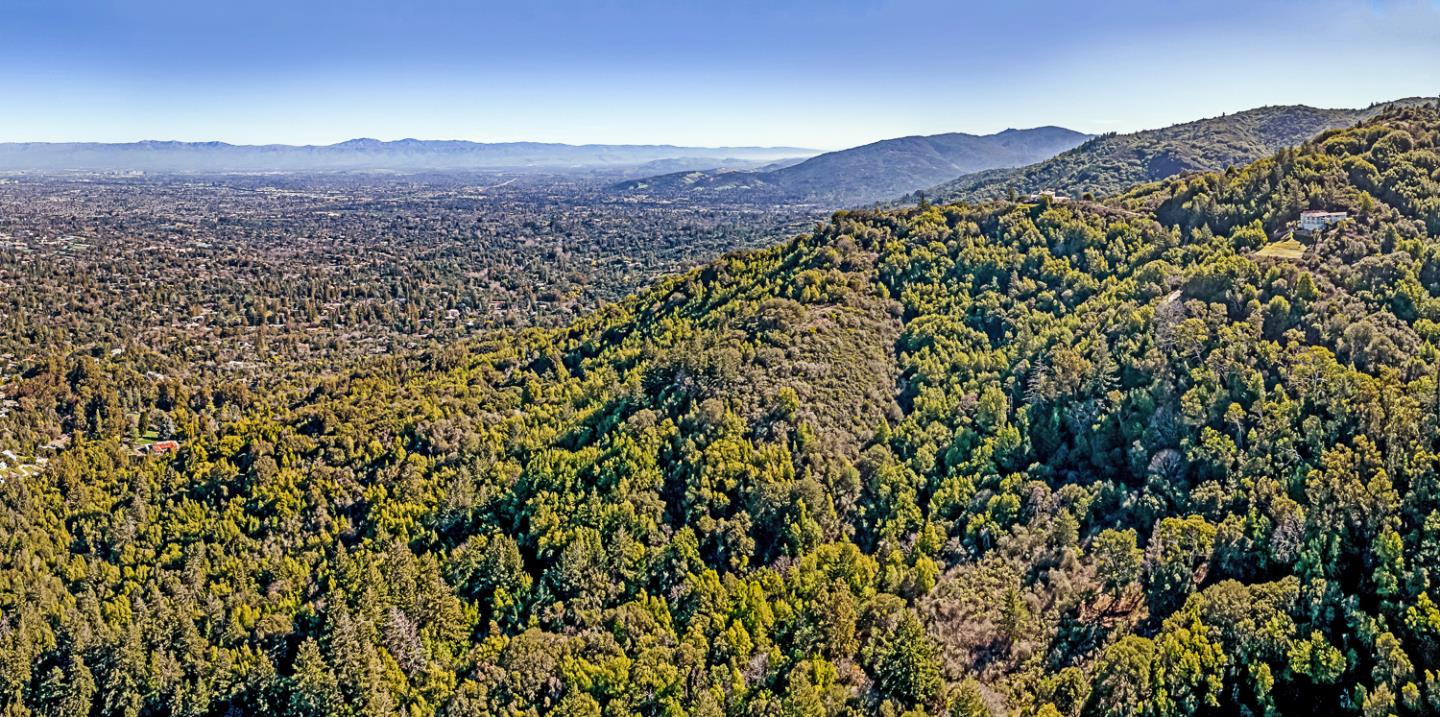 15905 Wildcat Ridge Saratoga, CA 95070 - Photo 16 of 17 a view of a lush green hillside and a mountain view