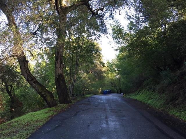 15905 Wildcat Ridge Saratoga, CA 95070 - Photo 2 of 17 a view of a forest with trees in the background