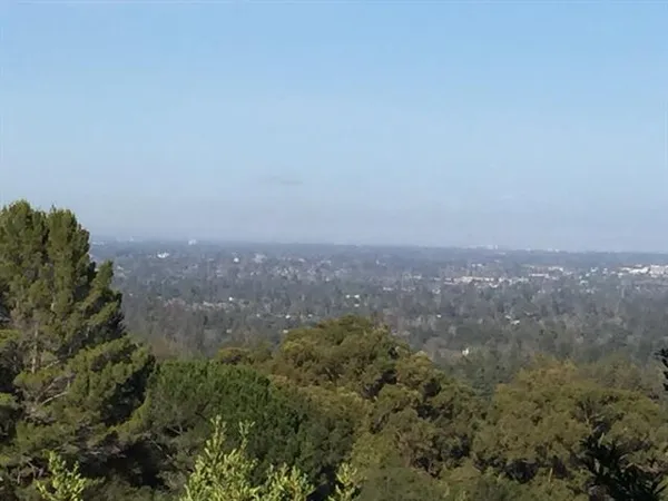 a view of a big yard