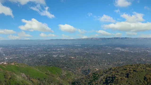 a view of a big yard