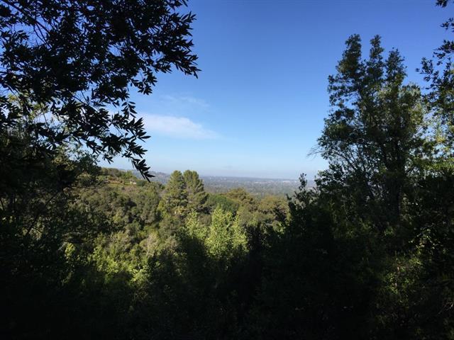 15905 Wildcat Ridge Saratoga, CA 95070 - Photo 9 of 17 a view of a city
