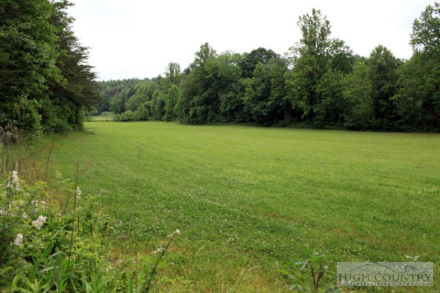 0 Rom Eller Road Purlear, NC 28665 - Photo 1 of 8 a view of a field with a trees in the background