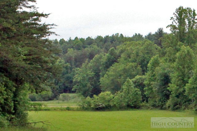 0 Rom Eller Road Purlear, NC 28665 - Photo 4 of 8 a view of a field with a tree in the background
