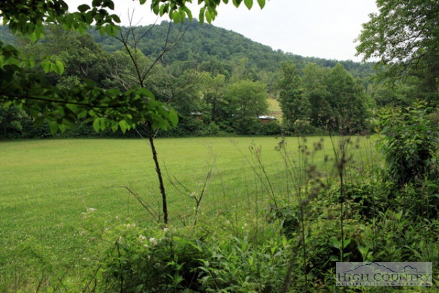 0 Rom Eller Road Purlear, NC 28665 - Photo 5 of 8 a view of a field with a tree in the background