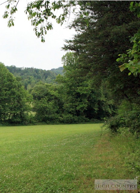 0 Rom Eller Road Purlear, NC 28665 - Photo 6 of 8 a view of a field with a trees in the background