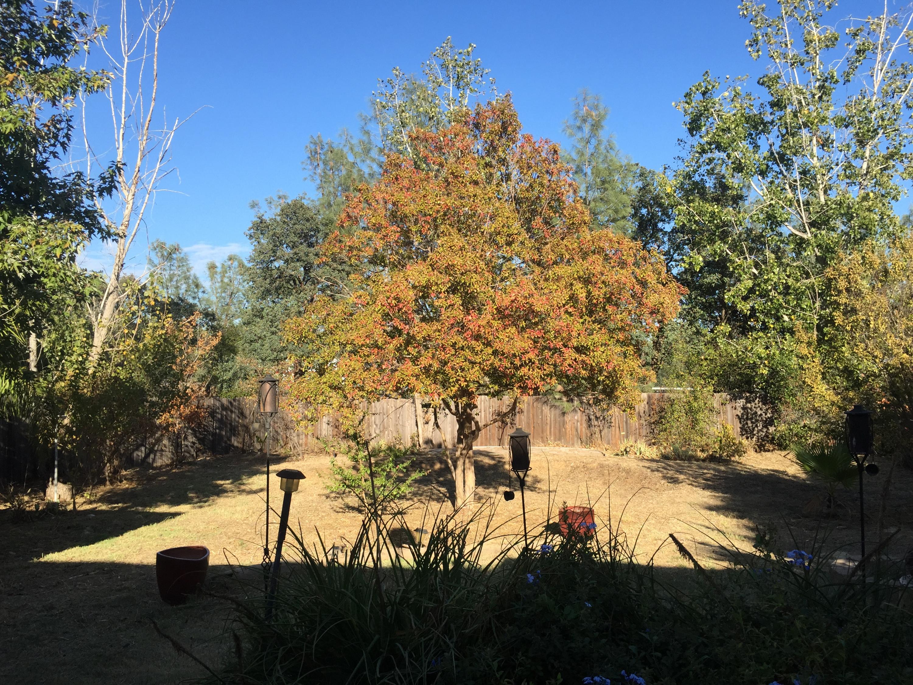 757 Ridge Road Redding, CA 96003 - Photo 13 of 25 IMG_9282