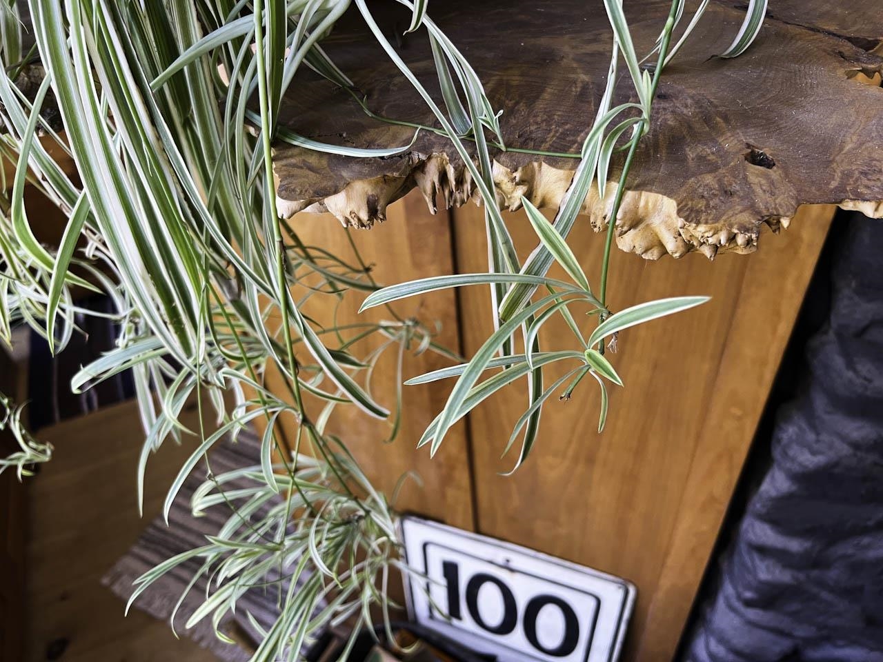 2436 Vermont Rte 125 Hancock, VT 05748 - Photo 21 of 40