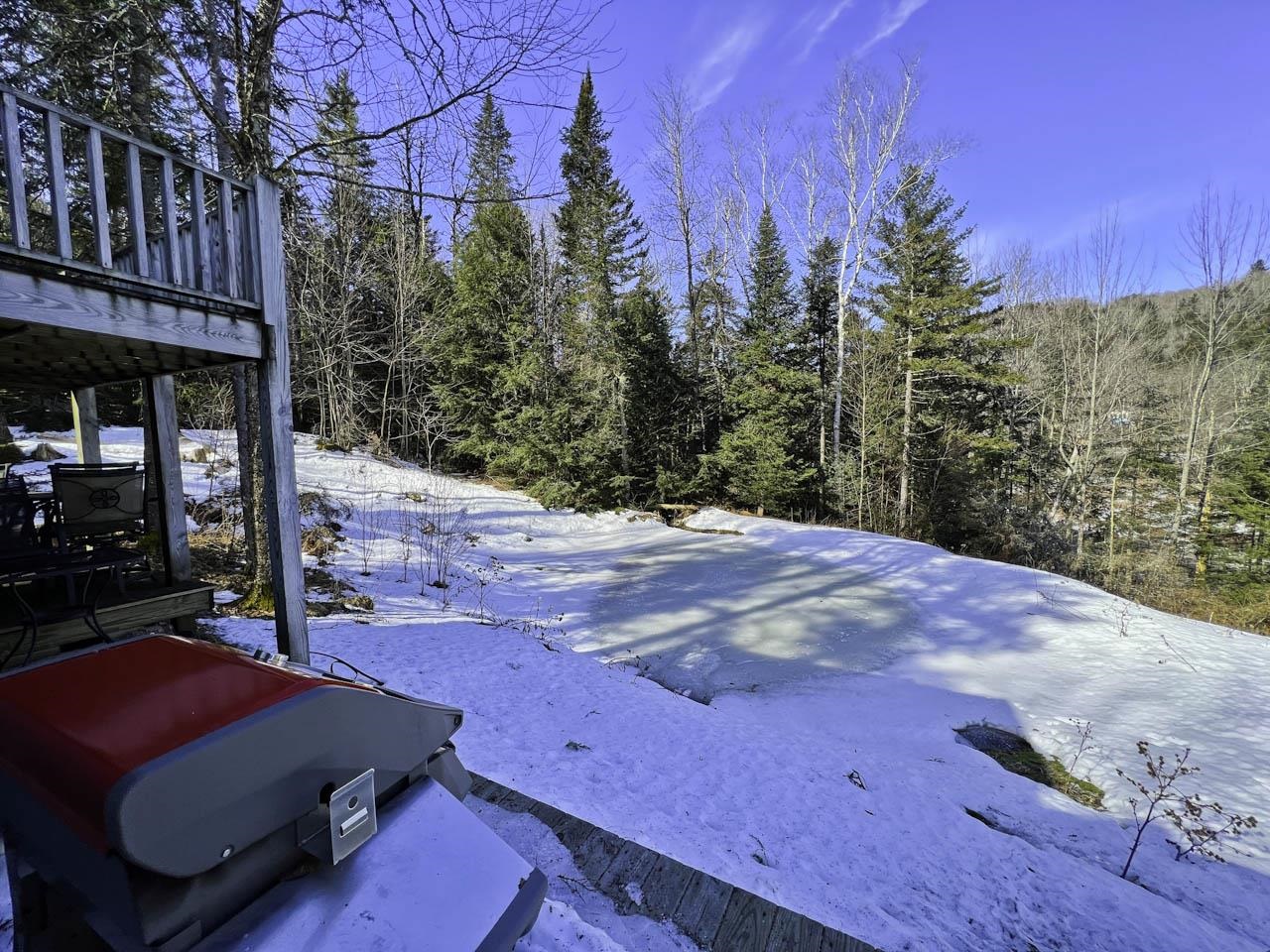 2436 Vermont Rte 125 Hancock, VT 05748 - Photo 31 of 40