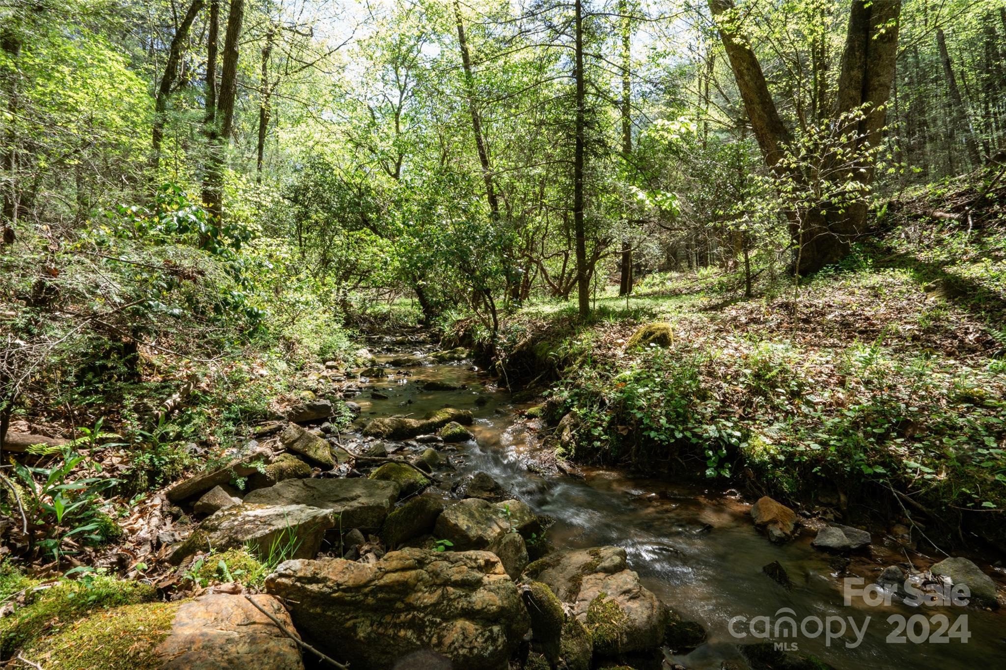 3655 Clarks Chapel Road Franklin, NC 28734 - Photo 4 of 48 Gallery Image 4