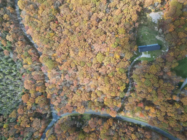 a view of a tree with a yard