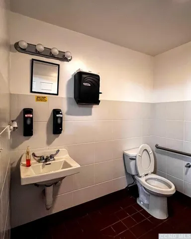 a bathroom with a toilet a sink and mirror